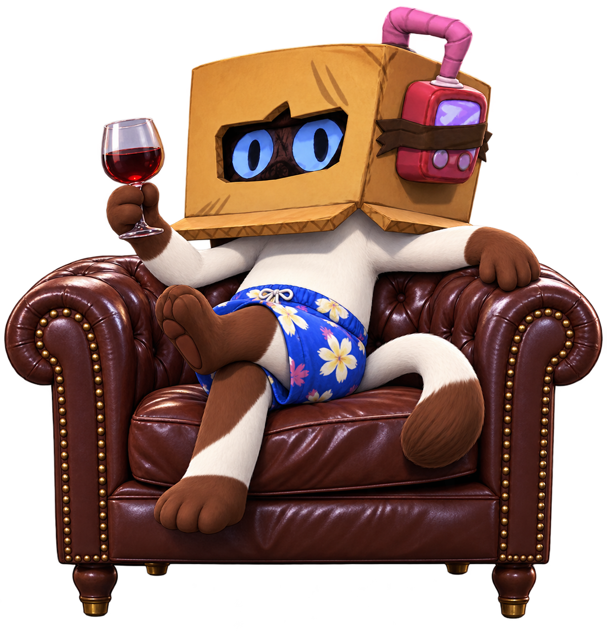Sattoo relaxing in an armchair